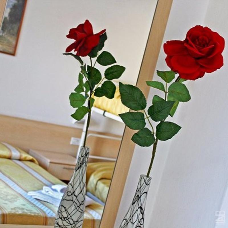 Hotel New Primula Rimini Extérieur photo